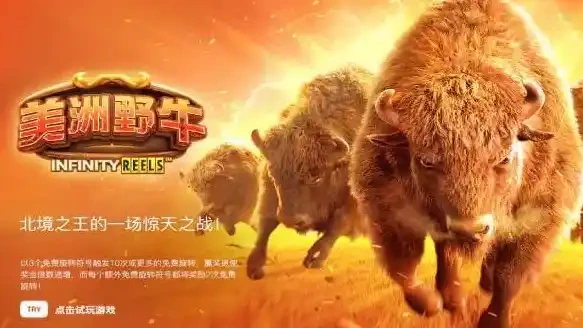美洲野牛老虎机游戏介绍-快盈国际体育