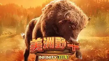 美洲野牛游戏-快盈国际体育